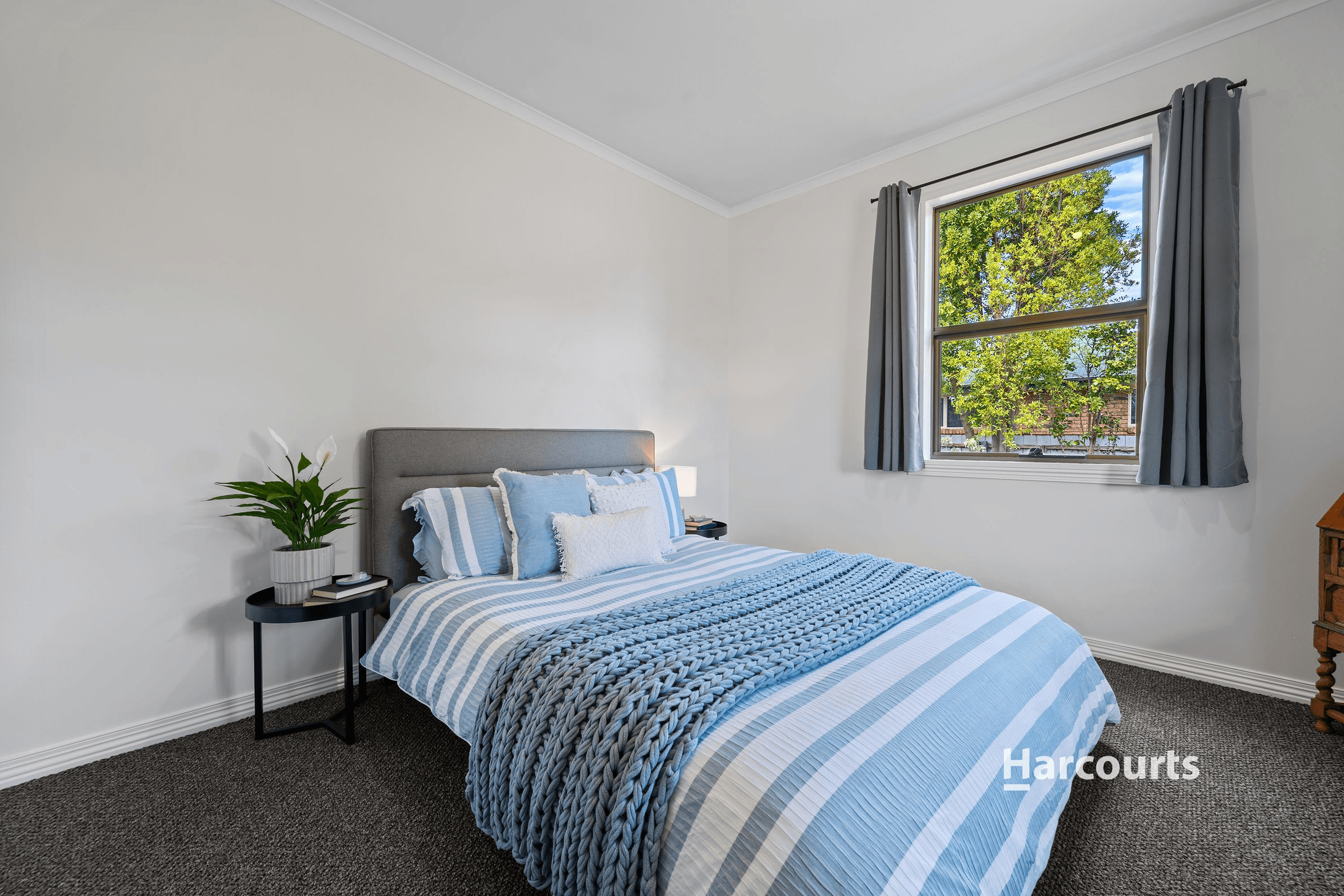 81 Bradshaw Street, LATROBE, TAS 7307
