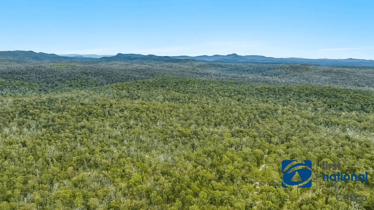 316 Camira Creek Road, CAMIRA, NSW 2469