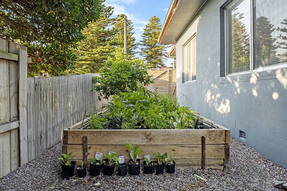 17 Lyndoch Avenue, WARRNAMBOOL, VIC 3280