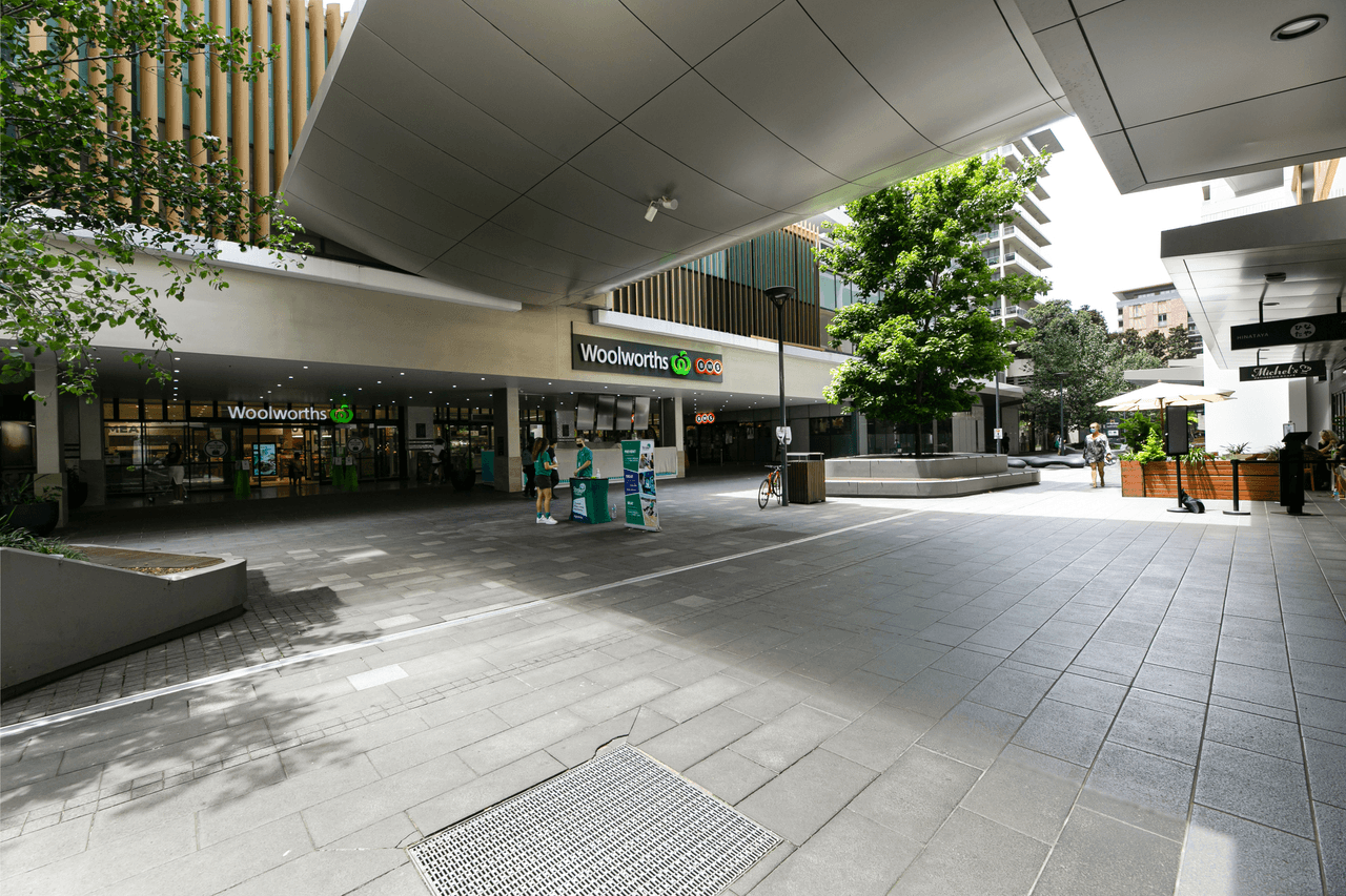 1169/2 Gearin Alley, MASCOT, NSW 2020