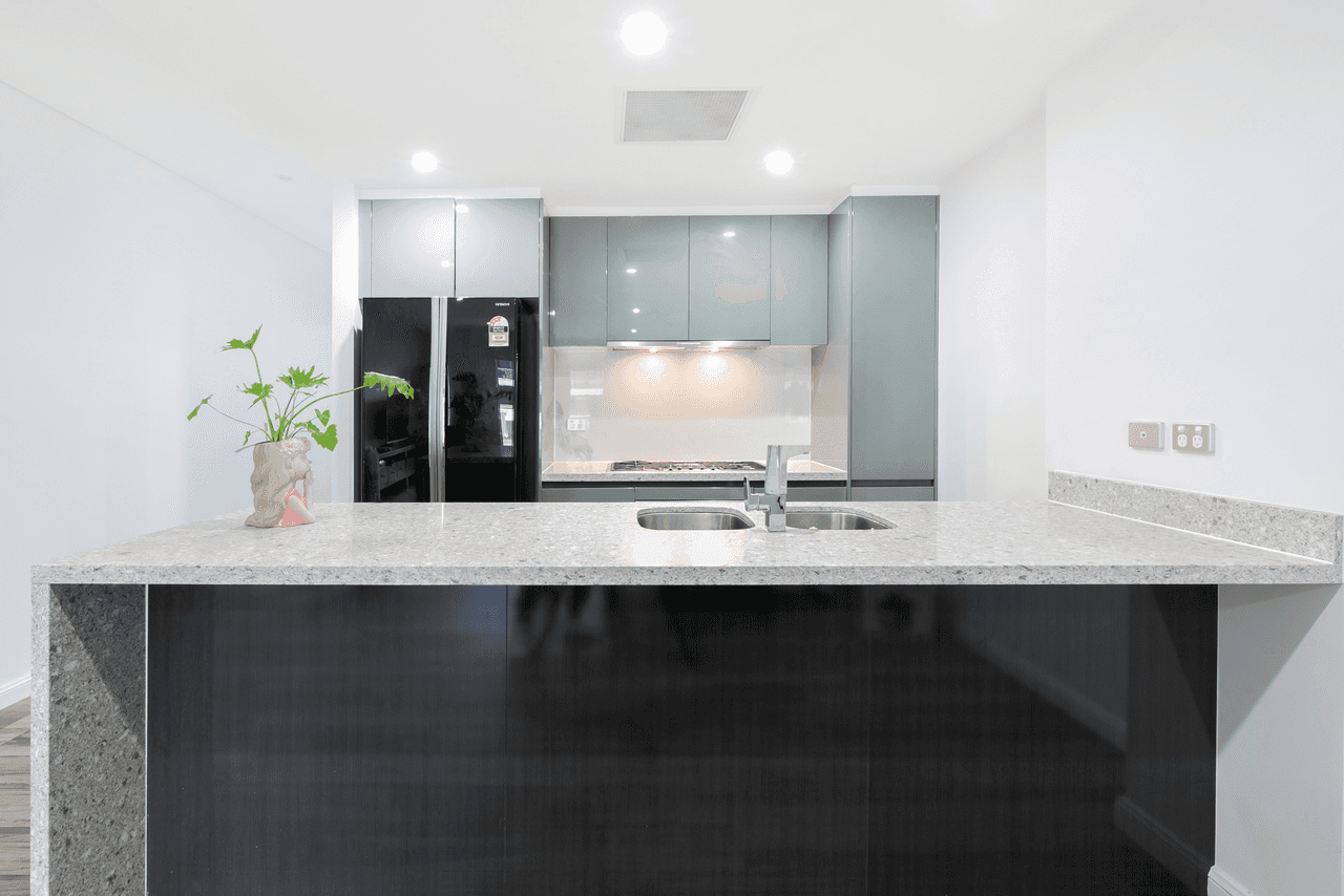 1169/2 Gearin Alley, MASCOT, NSW 2020