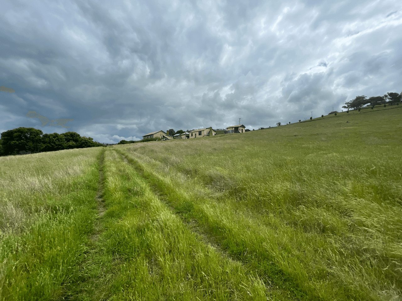 34 Reno Road, GUNDAGAI, NSW 2722
