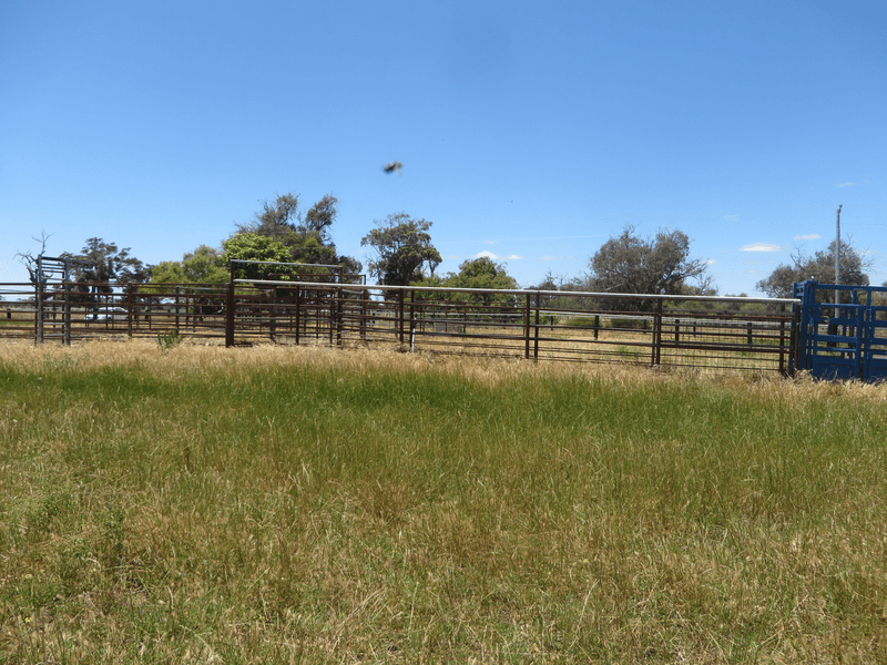 Lot 12 Heron Point Road, WEST COOLUP, WA 6214