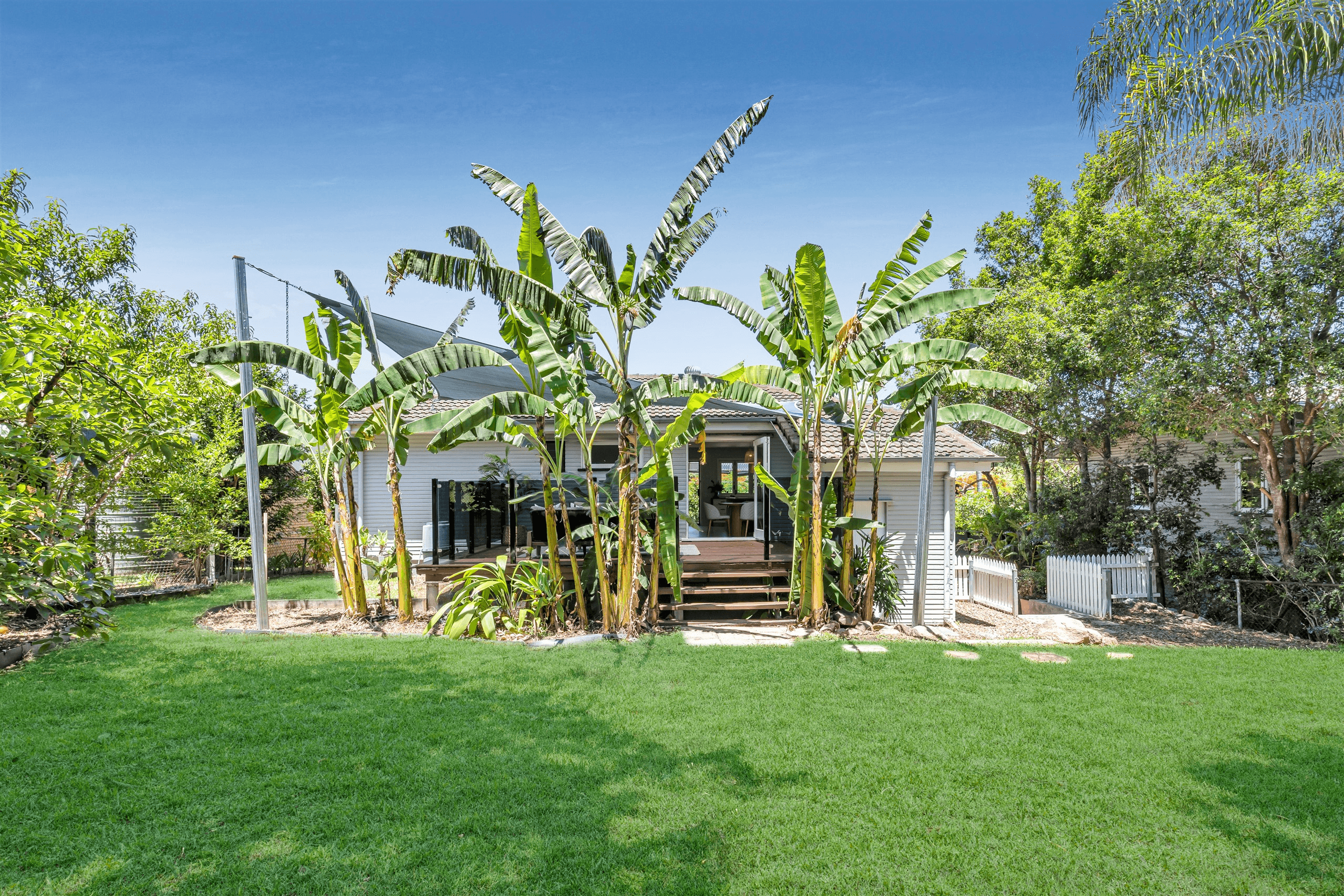 25 Franciscea Street, EVERTON HILLS, QLD 4053