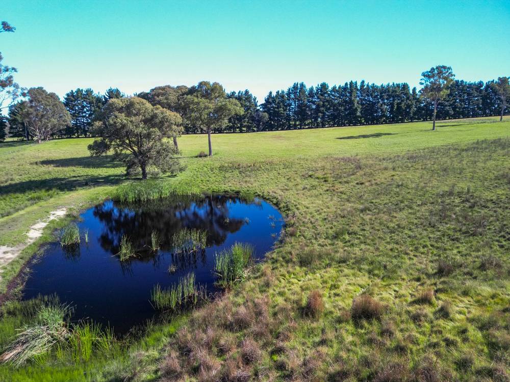 500 Olivers Rd, Nicholson, VIC 3882