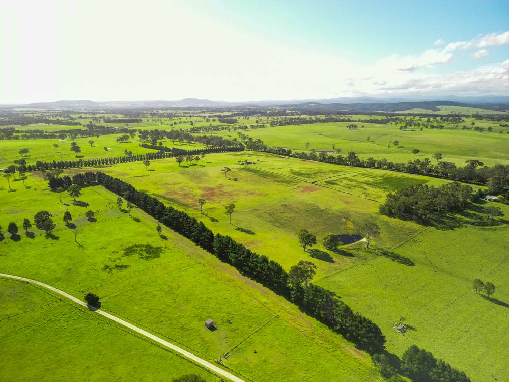 500 Olivers Rd, Nicholson, VIC 3882