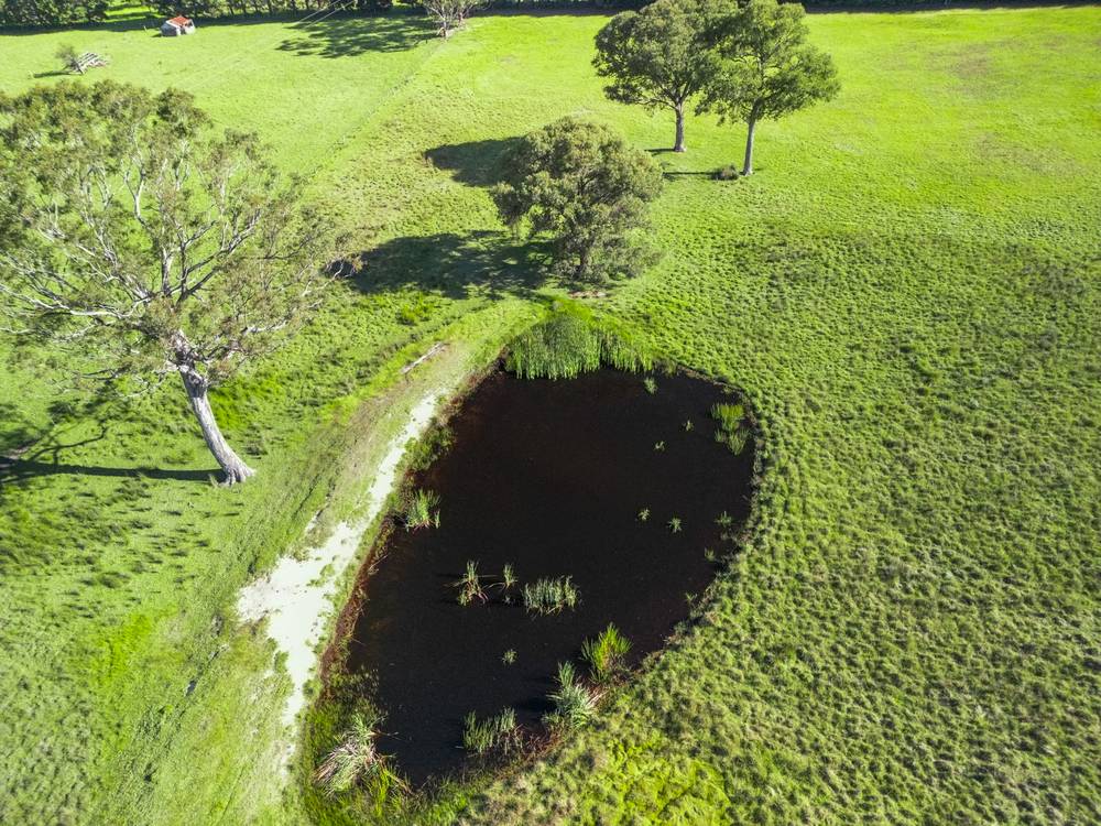 500 Olivers Rd, Nicholson, VIC 3882