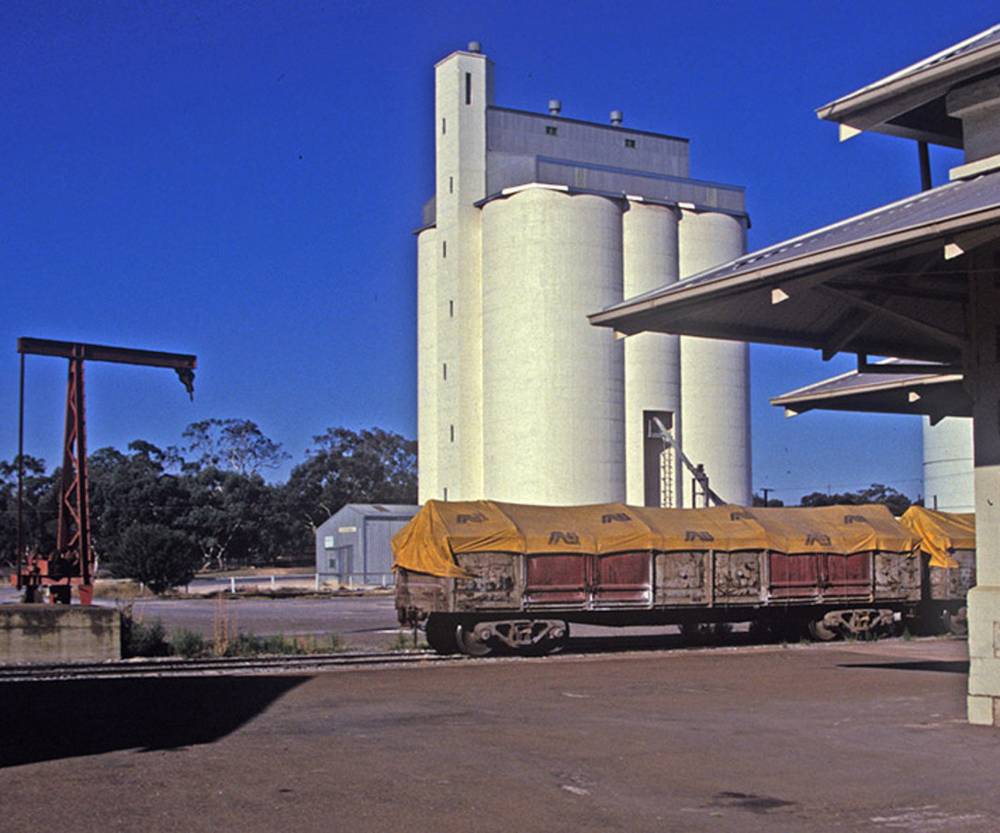 Creecoona Terrace, Bordertown, SA 5268