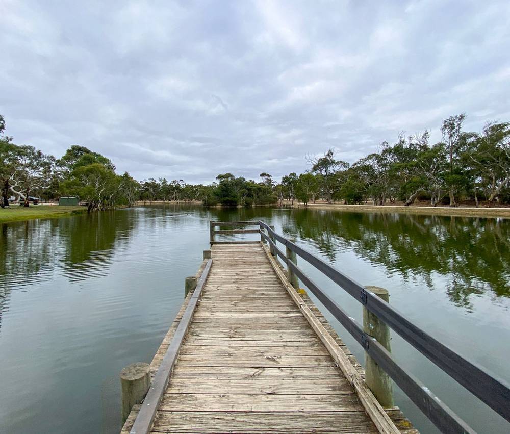 Creecoona Terrace, Bordertown, SA 5268