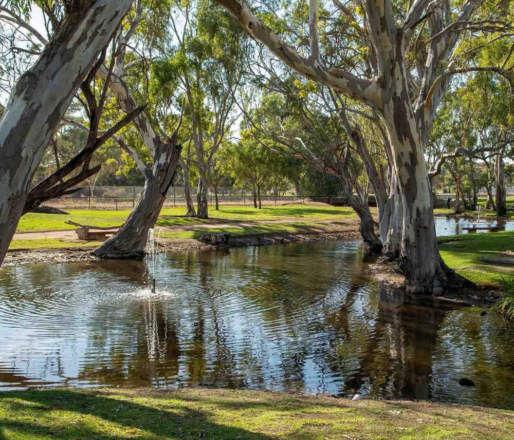Creecoona Terrace, Bordertown, SA 5268
