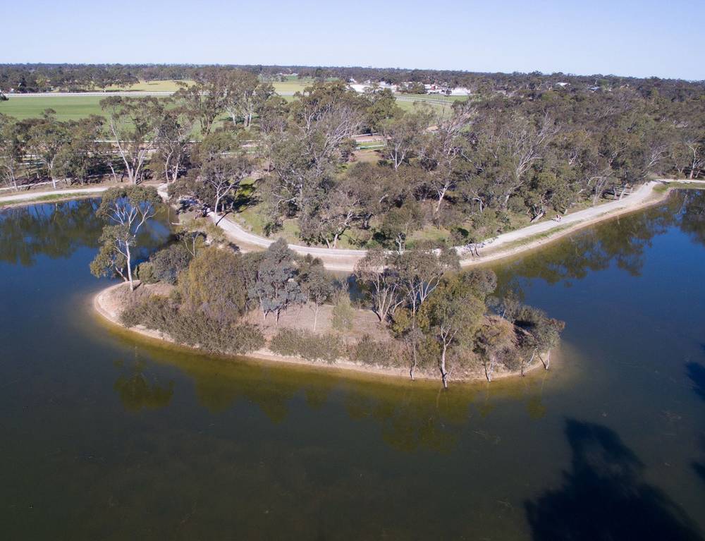Creecoona Terrace, Bordertown, SA 5268