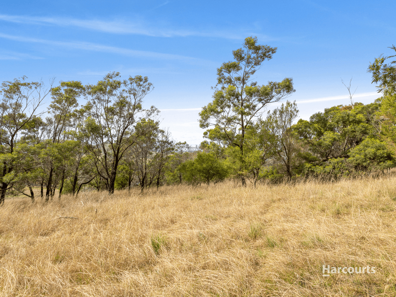 177 Malcolms Hut Road, RICHMOND, TAS 7025