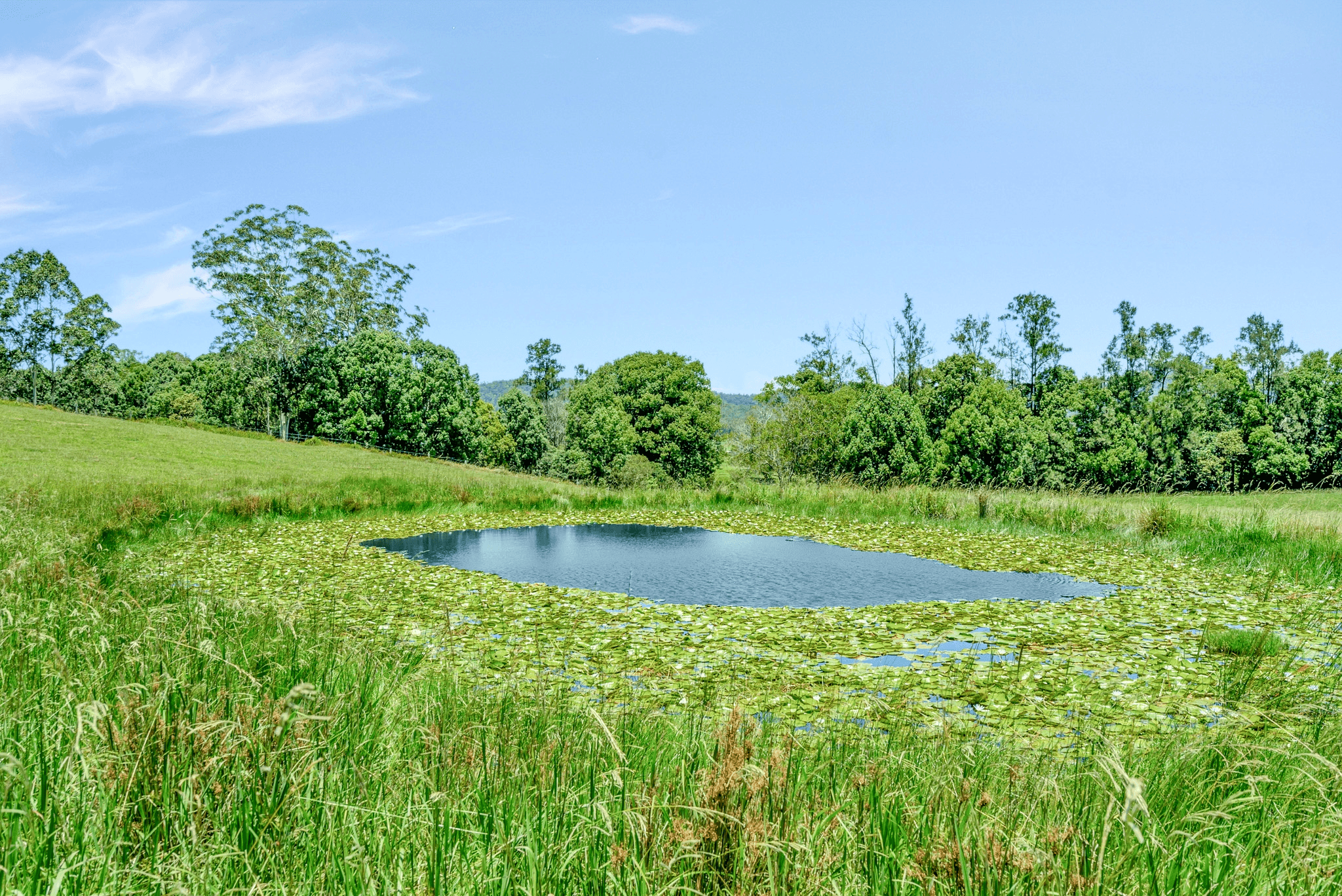 55 Lower Buckra Bendinni Road, Bowraville, NSW 2449