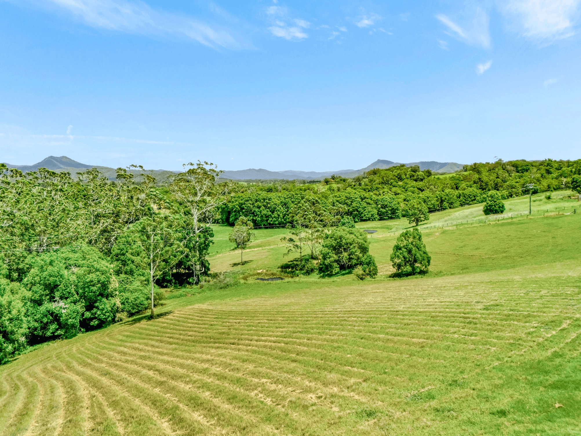 55 Lower Buckra Bendinni Road, Bowraville, NSW 2449