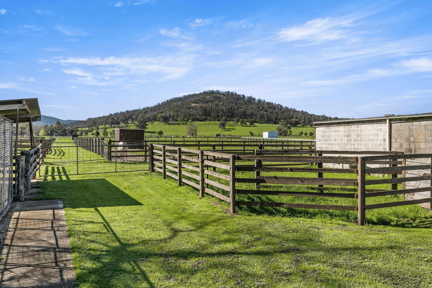 19 Bassed Road, Garfield North, VIC 3814