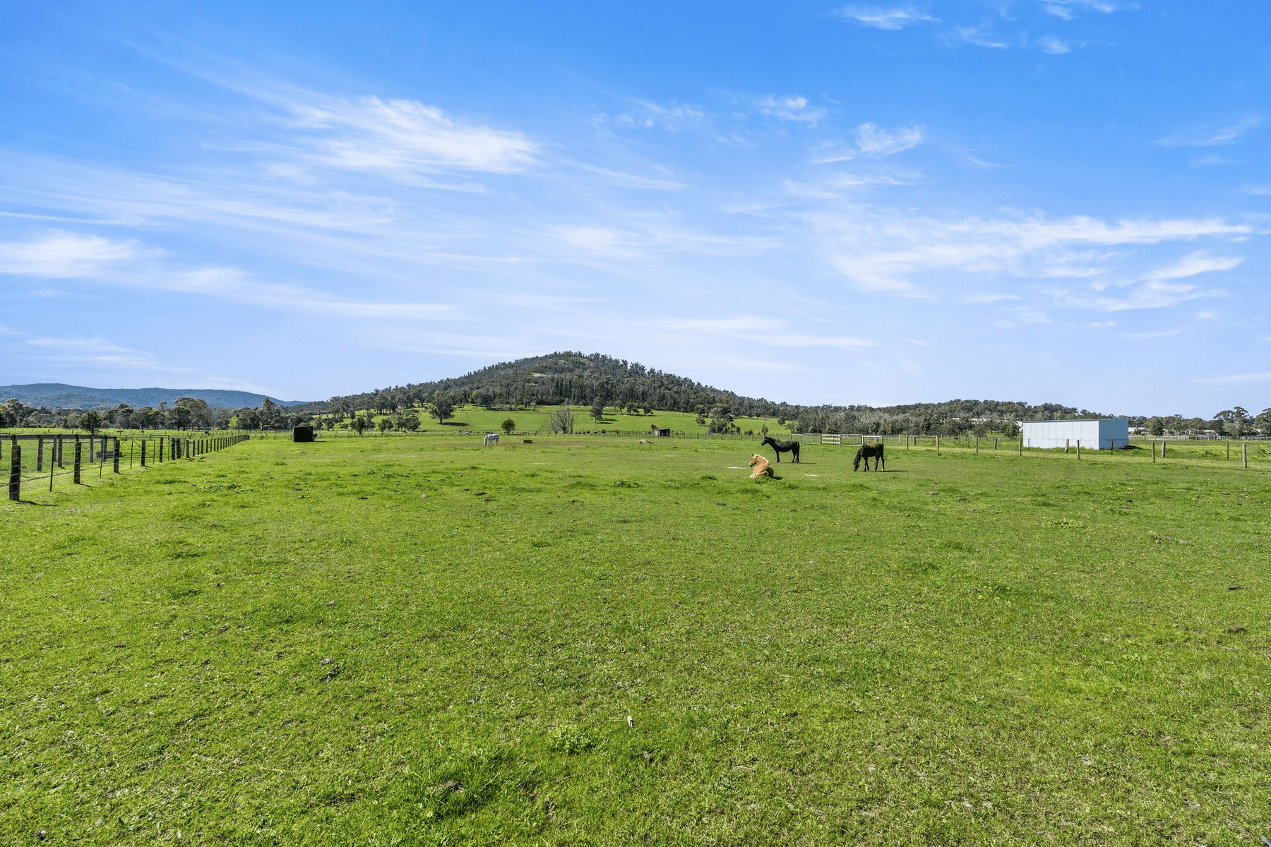 19 Bassed Road, Garfield North, VIC 3814