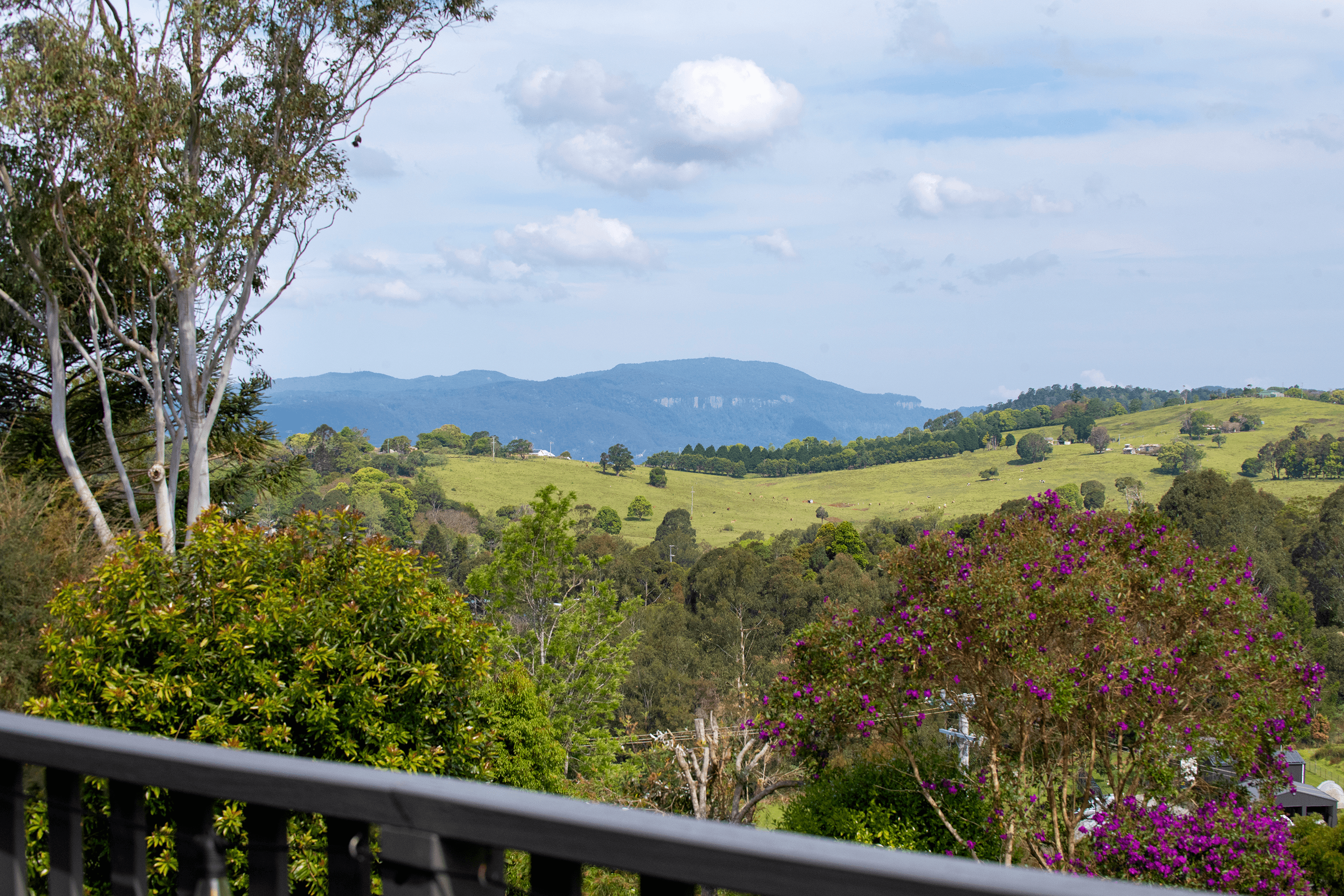 8 Wattle Court, BEECHMONT, QLD 4211