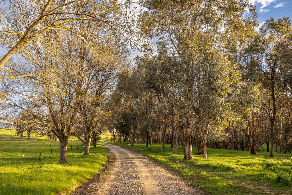 123 Hibberson Road, Huon, VIC 3695