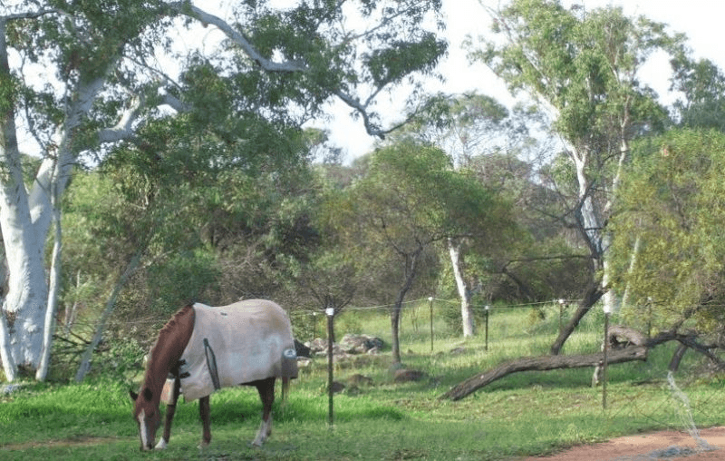 Lot 33 Rose Street, Isseka, WA 6535