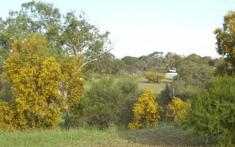 Lot 33 Rose Street, Isseka, WA 6535