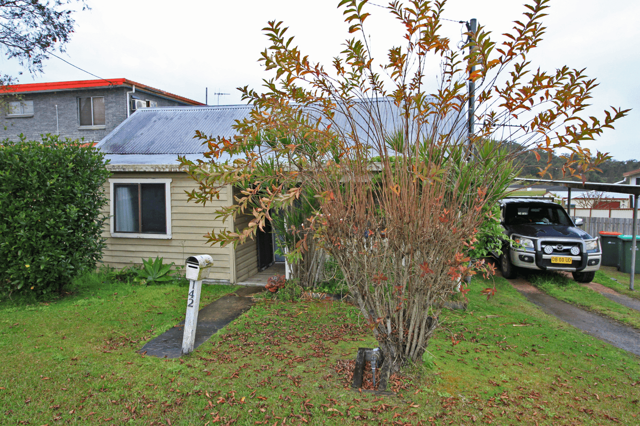 142 Nancy Bird Walton Drive, KEW, NSW 2439