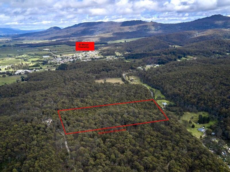 114 Irish Town Road, ST MARYS, TAS 7215