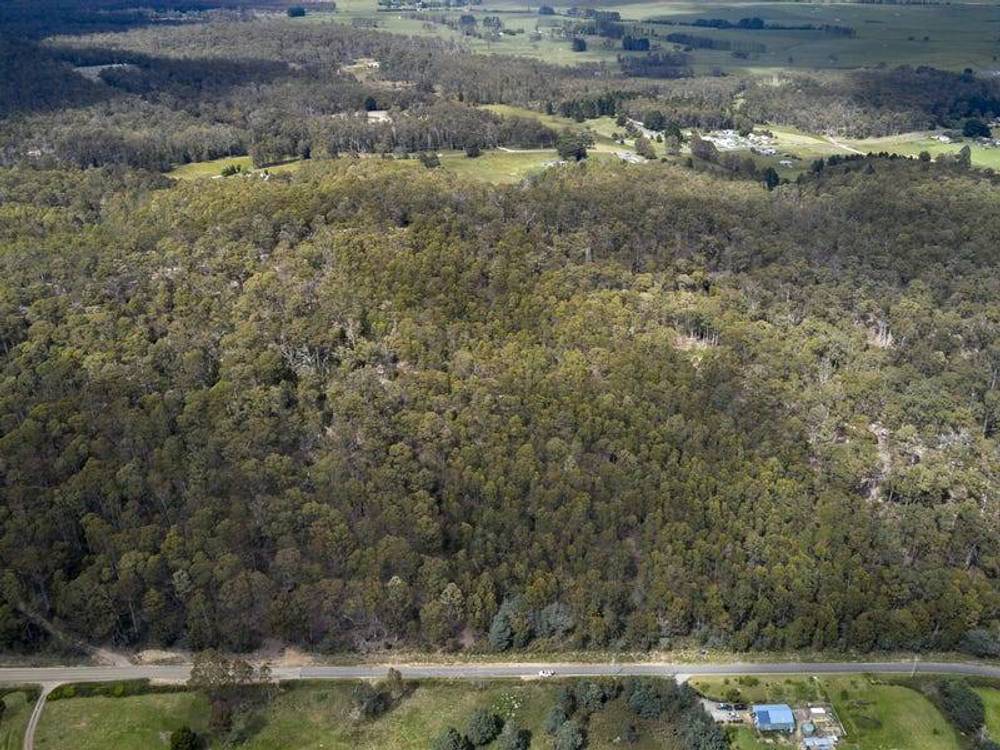 114 Irish Town Road, ST MARYS, TAS 7215