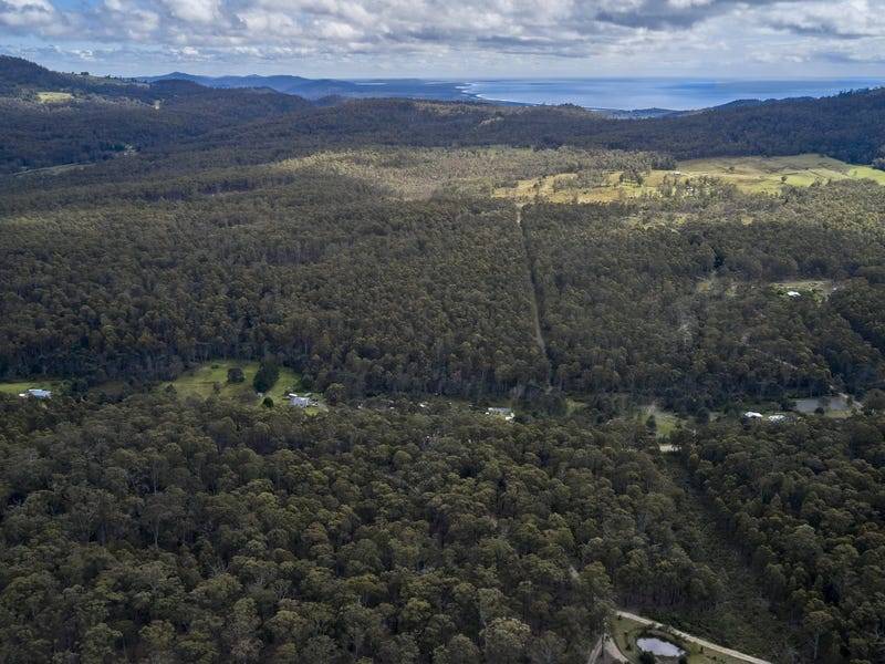 114 Irish Town Road, ST MARYS, TAS 7215