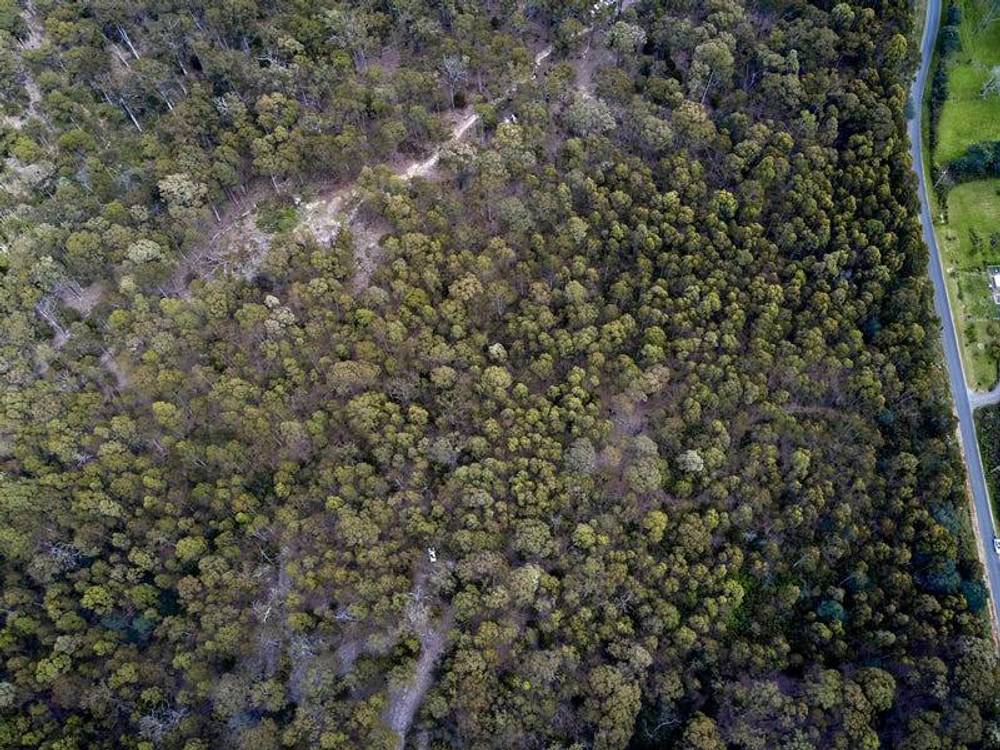 114 Irish Town Road, ST MARYS, TAS 7215