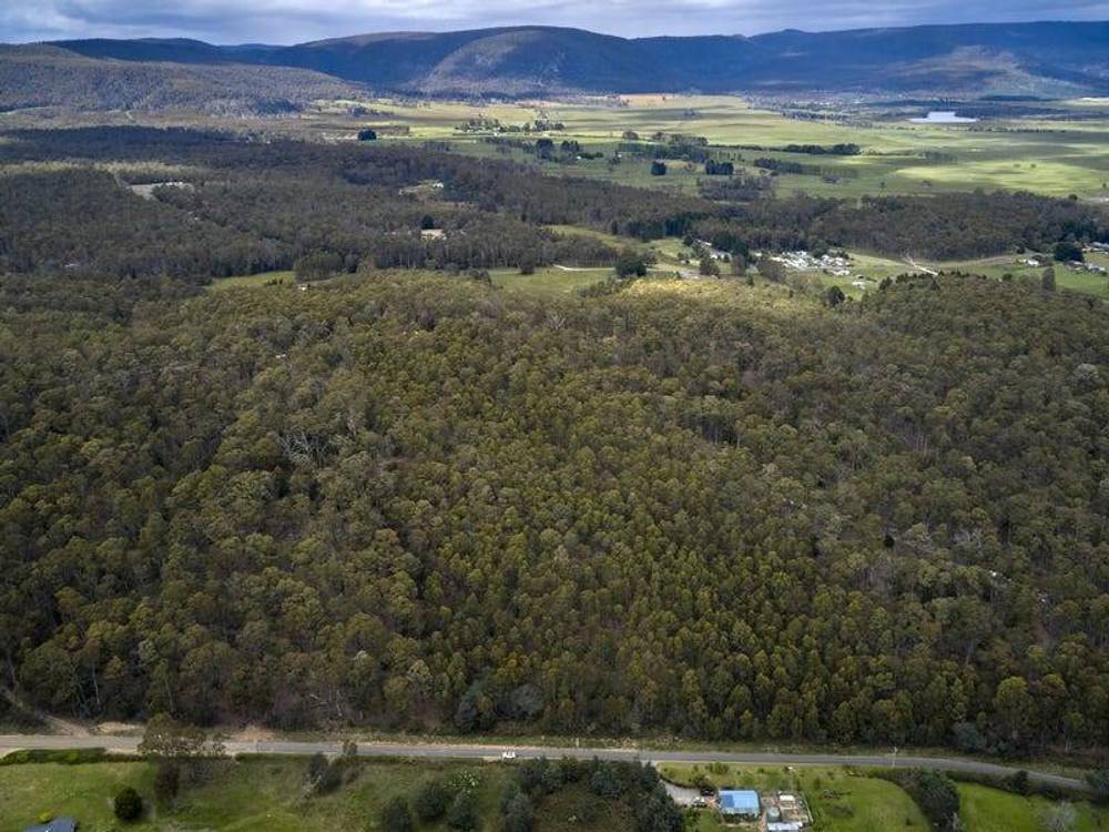 114 Irish Town Road, ST MARYS, TAS 7215