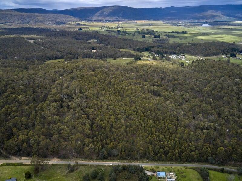 114 Irish Town Road, ST MARYS, TAS 7215