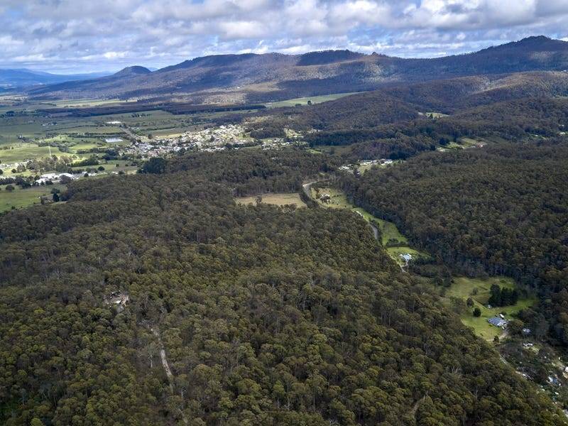 114 Irish Town Road, ST MARYS, TAS 7215