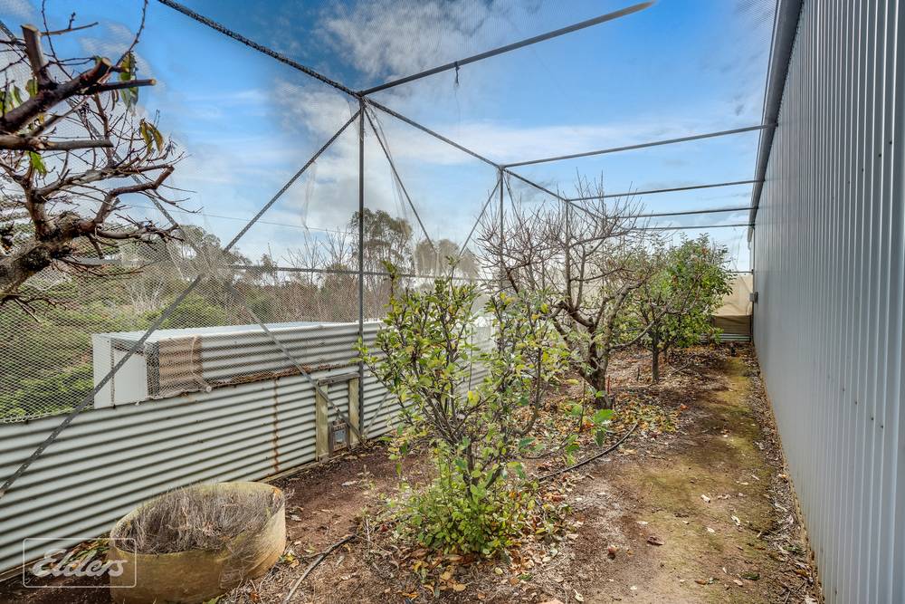 6 Gulf View Court, Cape Jervis, SA 5204