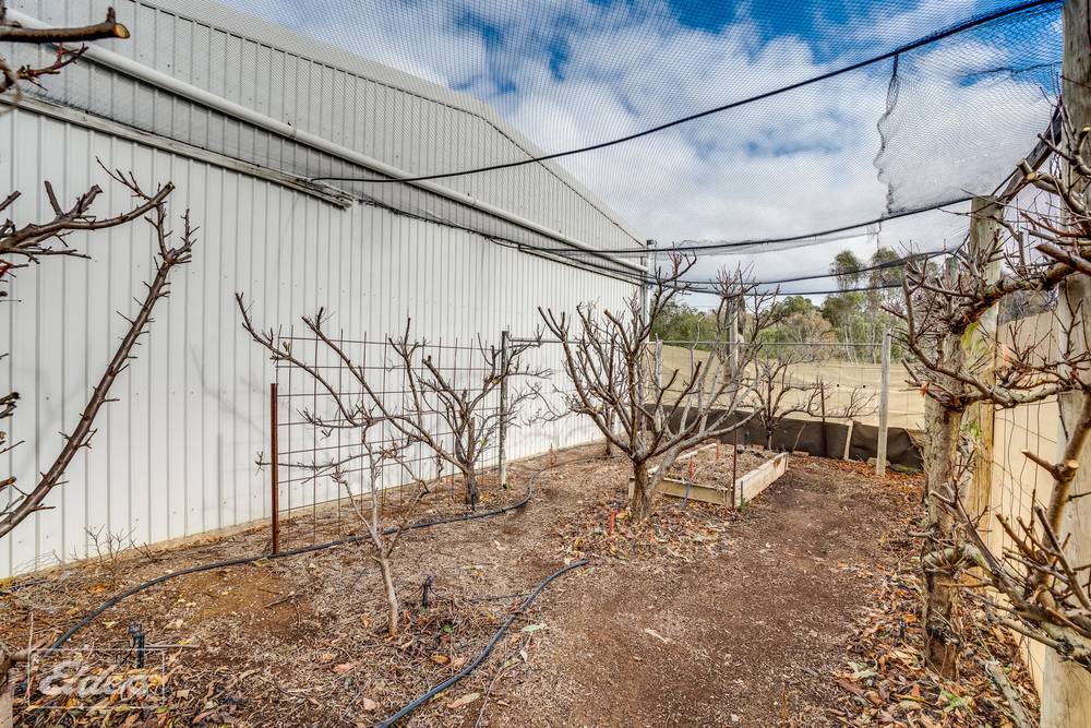 6 Gulf View Court, Cape Jervis, SA 5204
