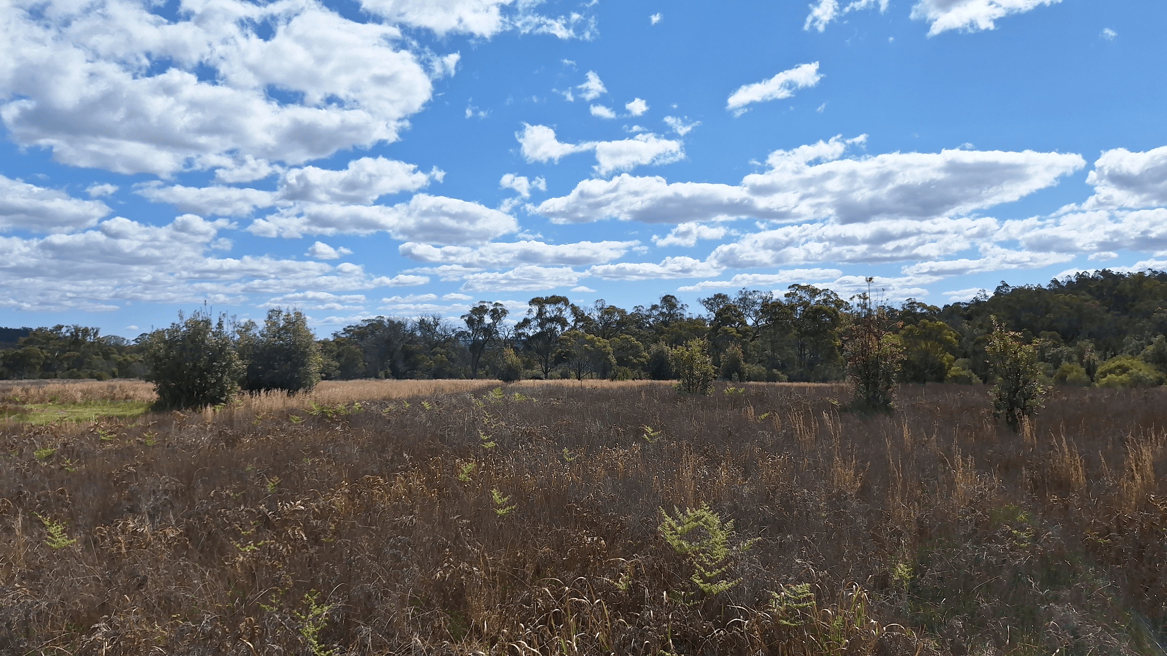 Lot 1 Jolly's Falls Road, The Summit, QLD 4377