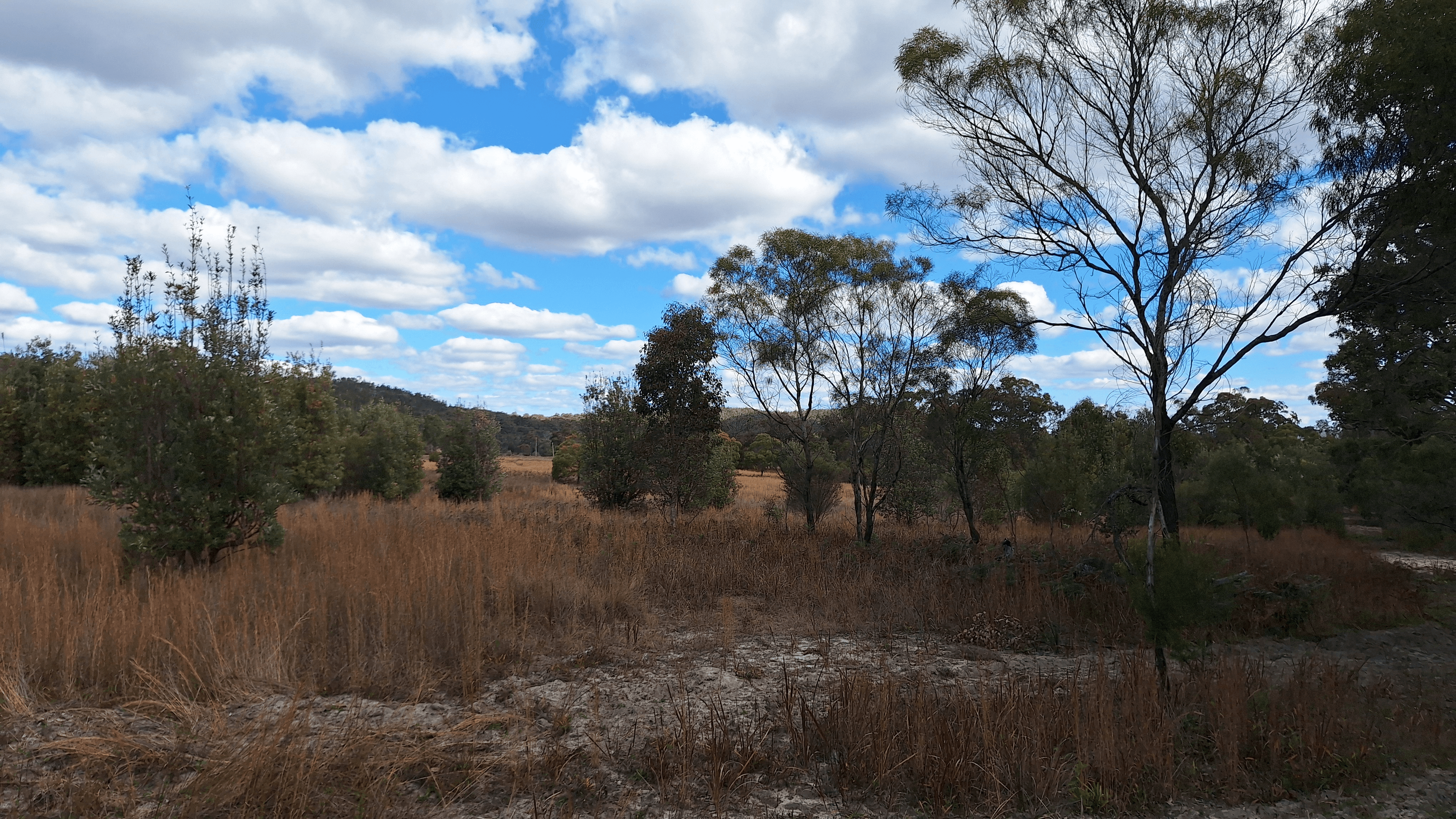 Lot 1 Jolly's Falls Road, The Summit, QLD 4377