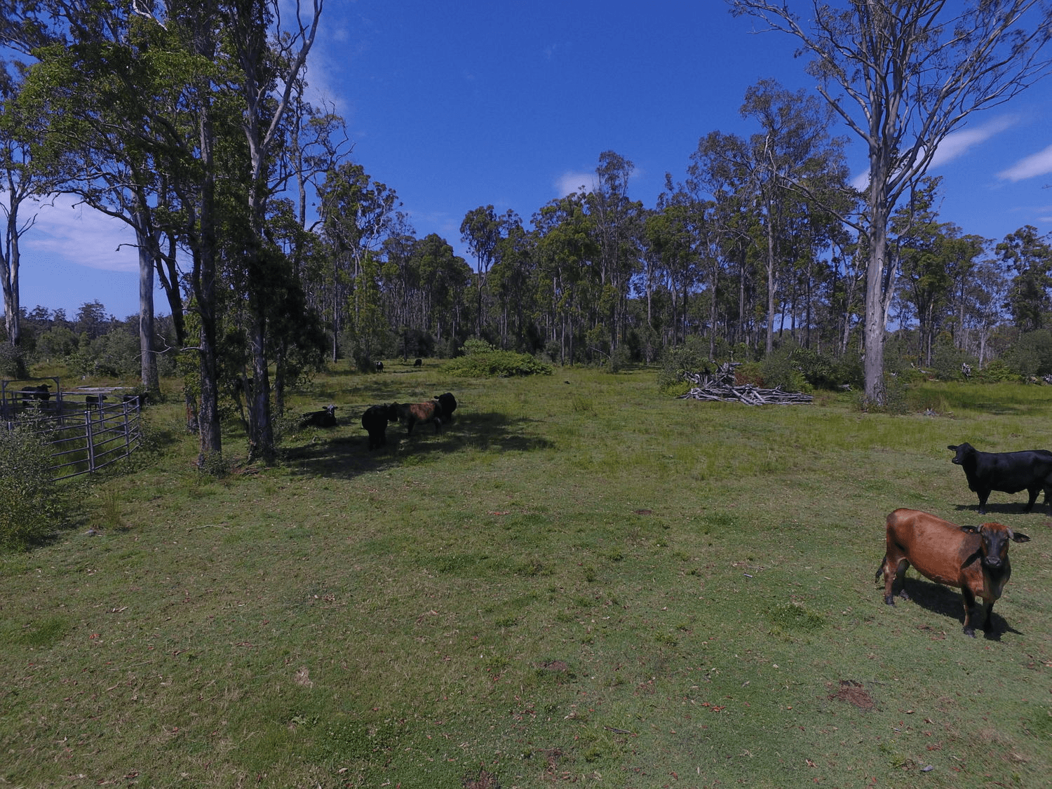 780 Myall Creek Road, BORA RIDGE, NSW 2471