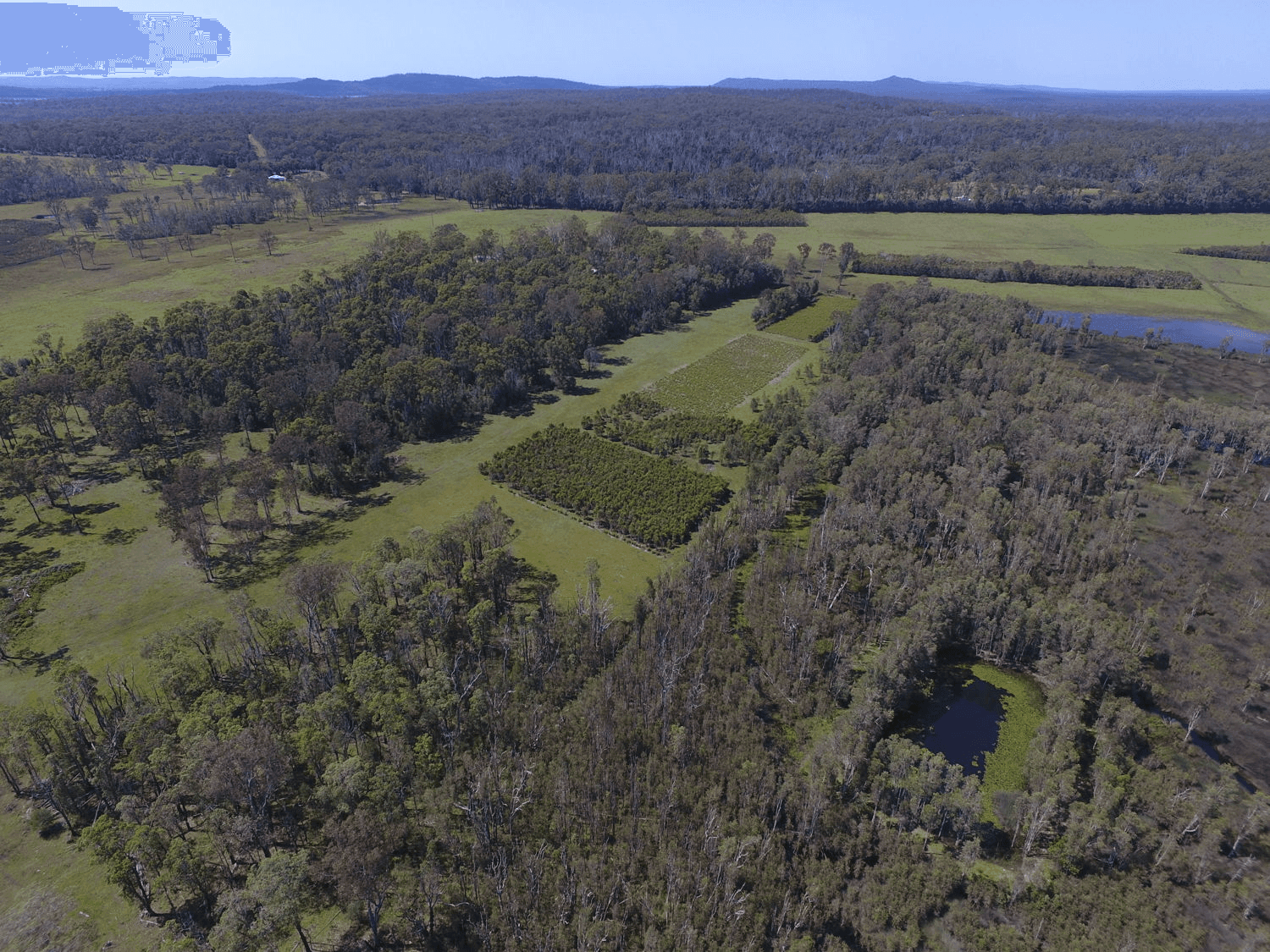 780 Myall Creek Road, BORA RIDGE, NSW 2471