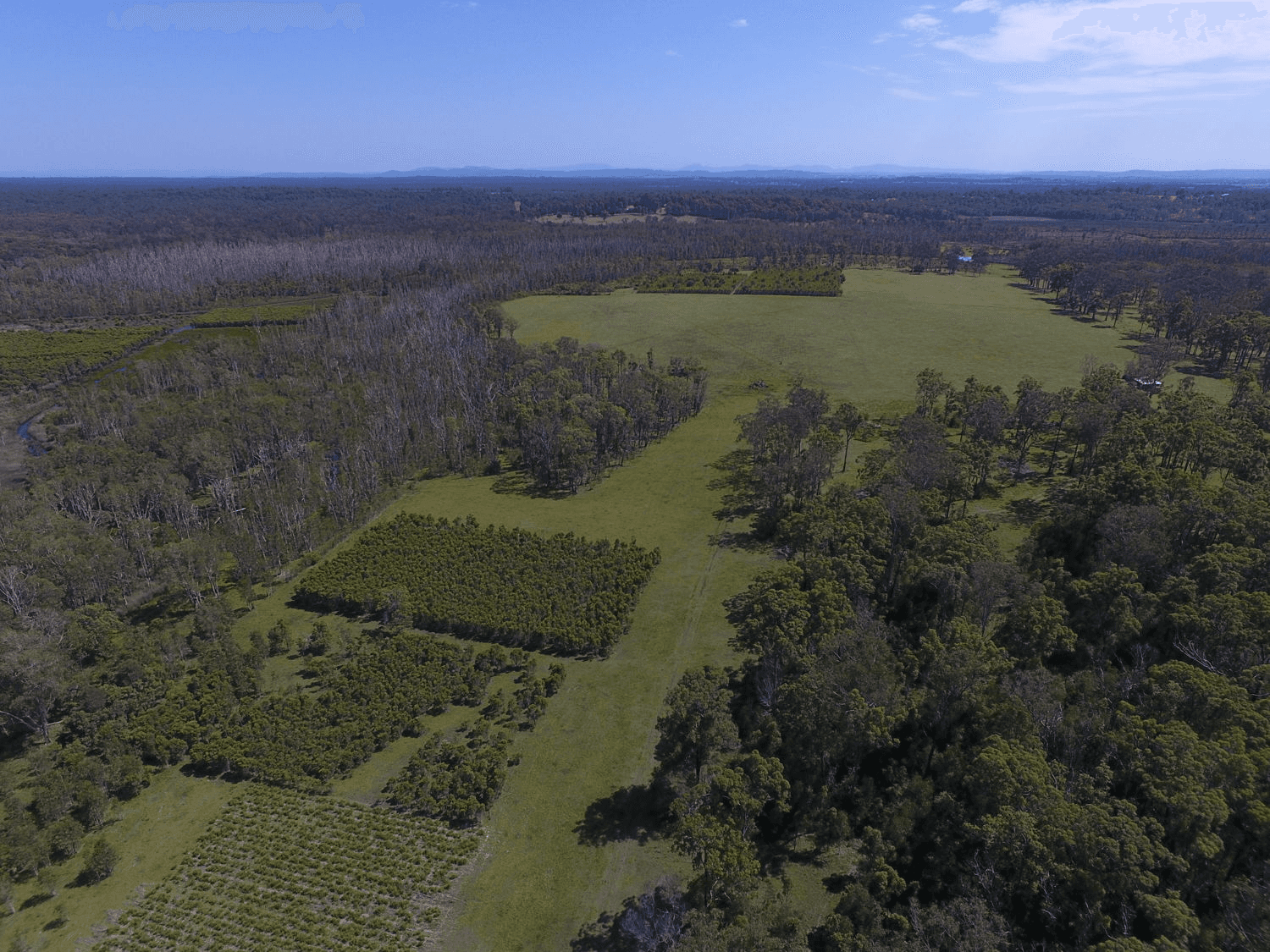 780 Myall Creek Road, BORA RIDGE, NSW 2471