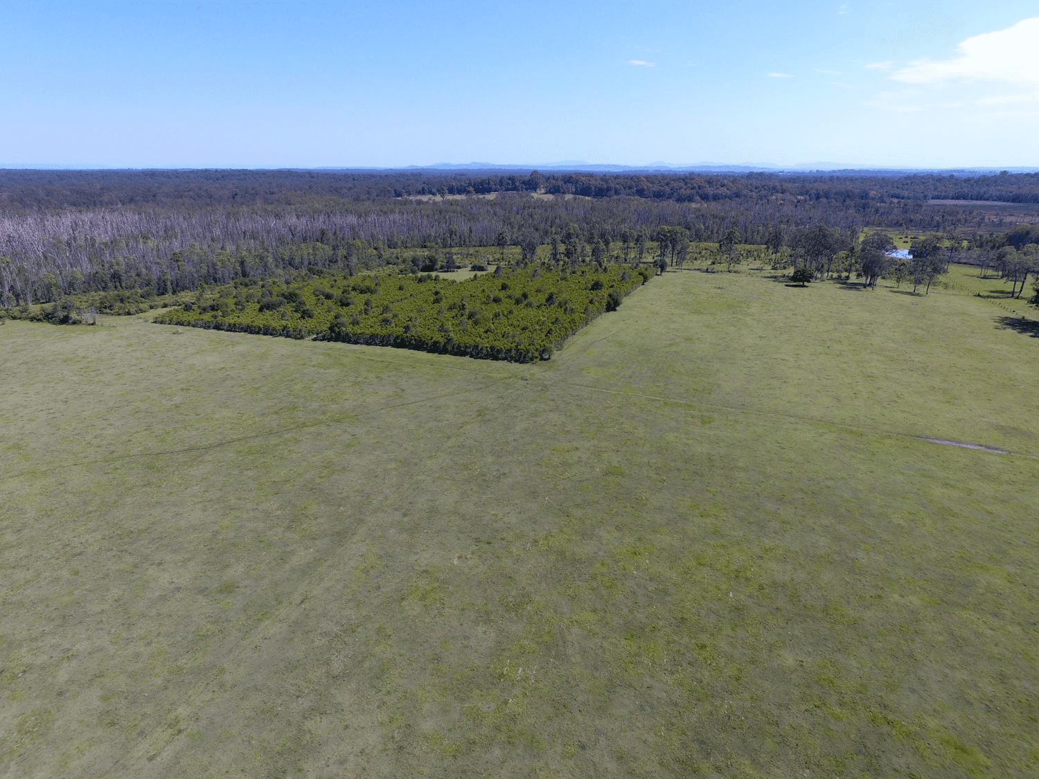 780 Myall Creek Road, BORA RIDGE, NSW 2471