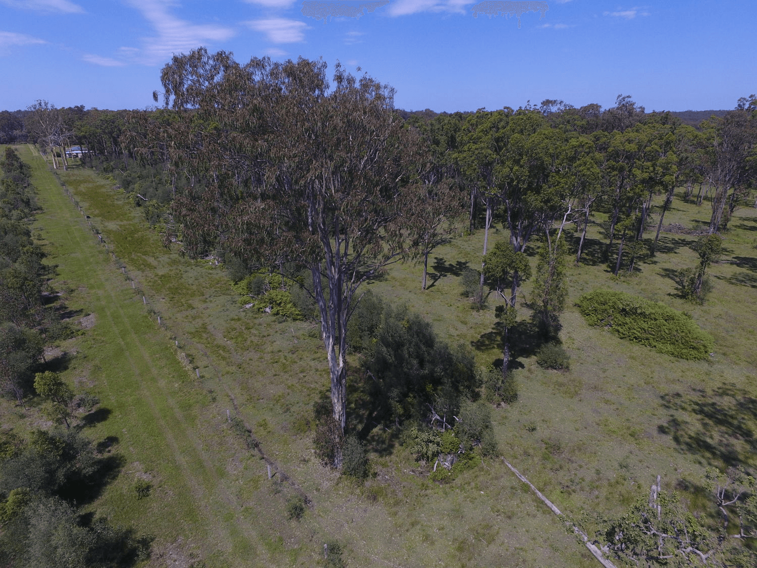 780 Myall Creek Road, BORA RIDGE, NSW 2471