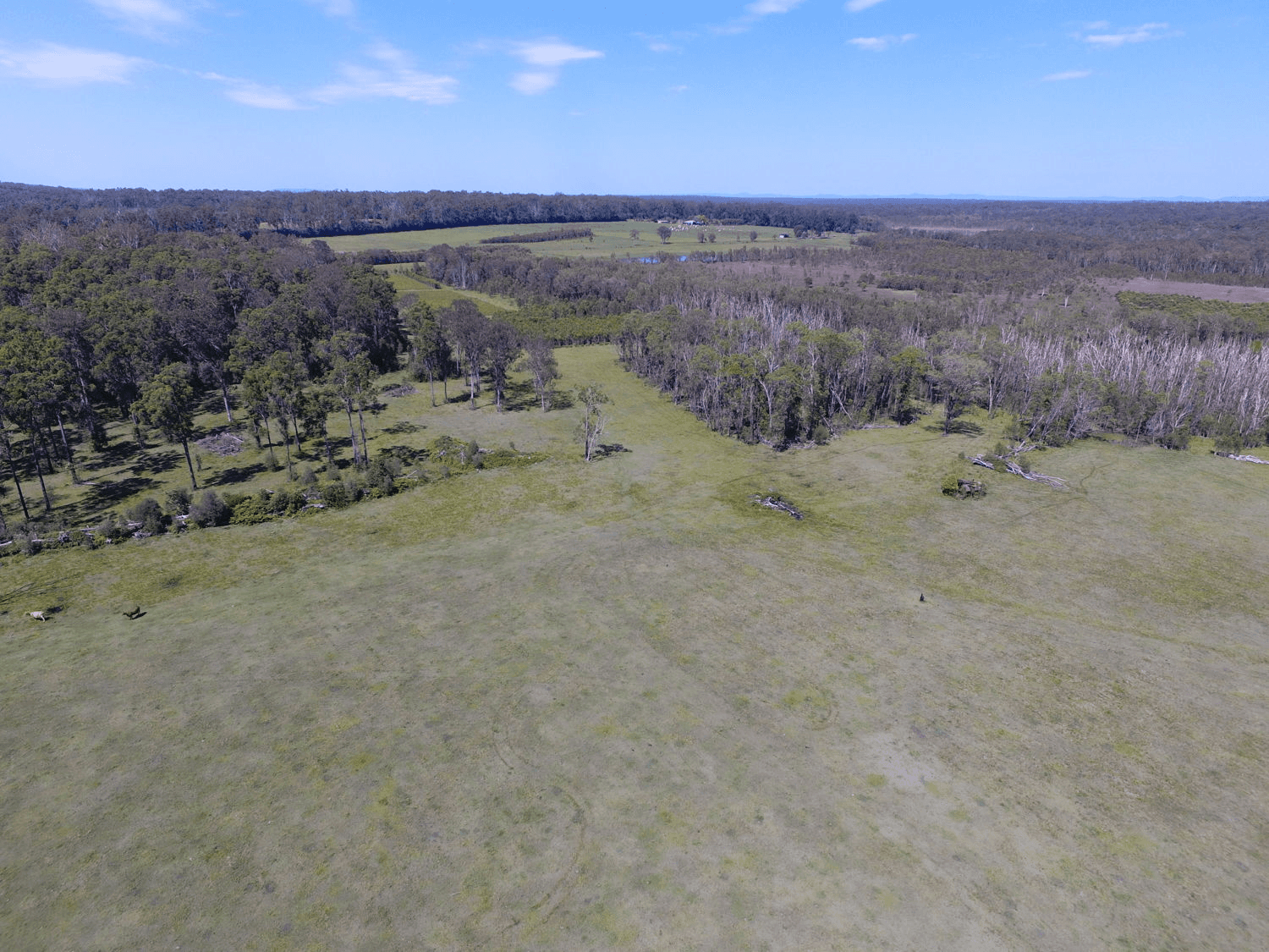 780 Myall Creek Road, BORA RIDGE, NSW 2471