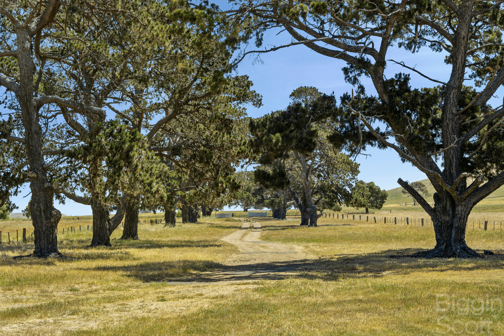 1150 Clunes Mt Cameron Road, MOUNT CAMERON, VIC 3370