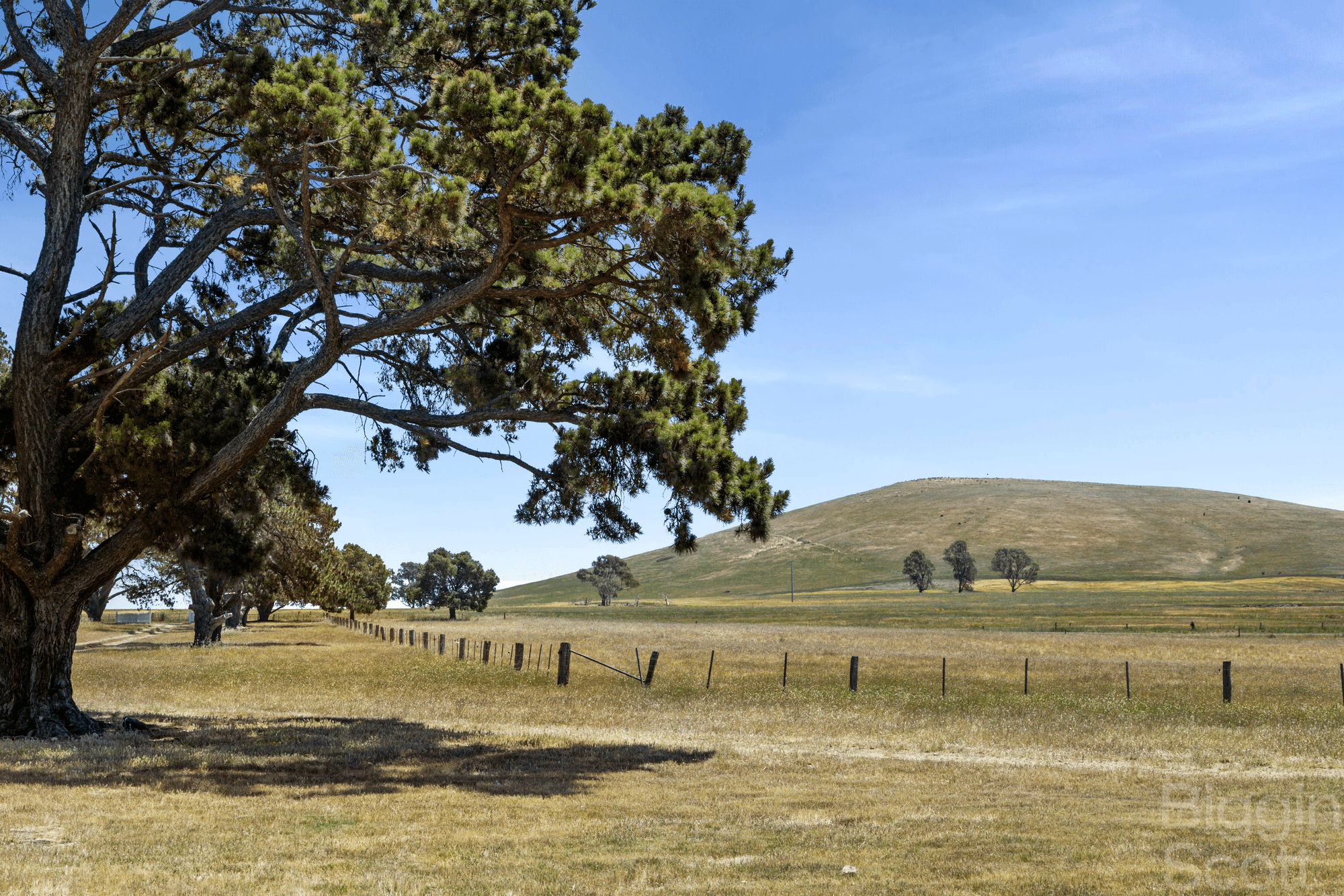 1150 Clunes Mt Cameron Road, MOUNT CAMERON, VIC 3370