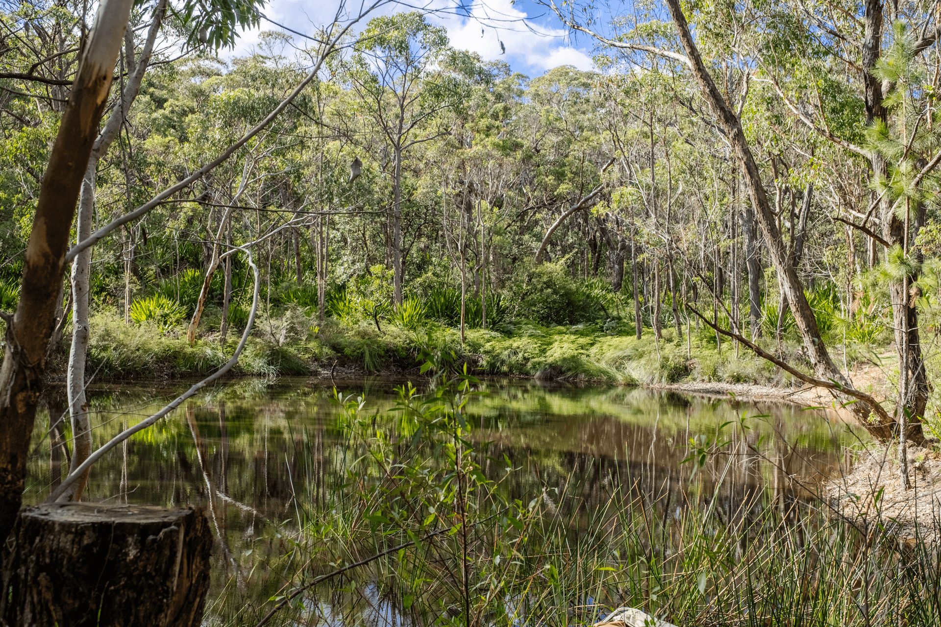 939 George Downes Drive, Kulnura, NSW 2250