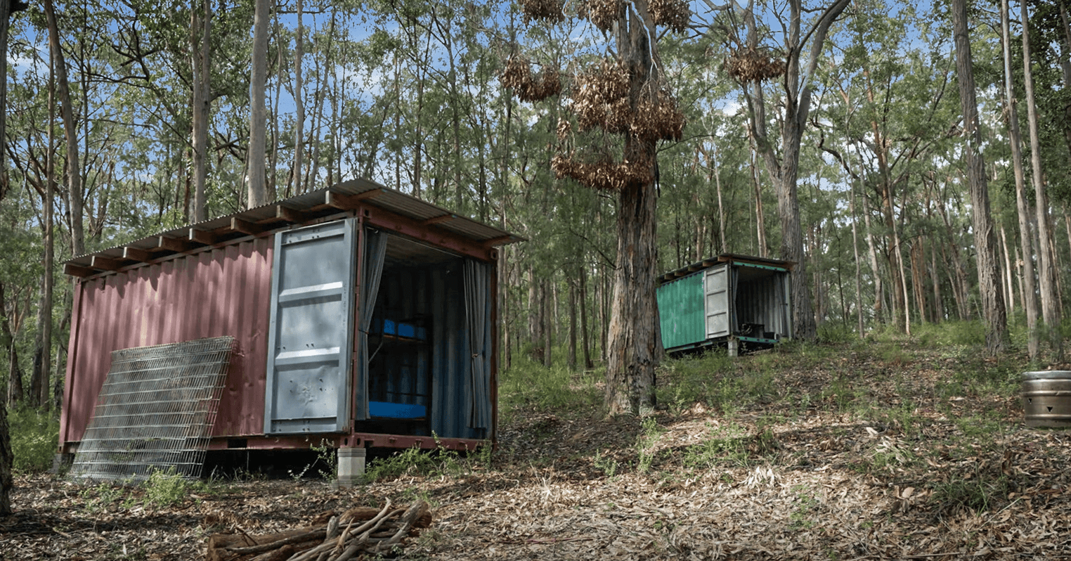 200 Morton Road, Cedar Creek, NSW 2325