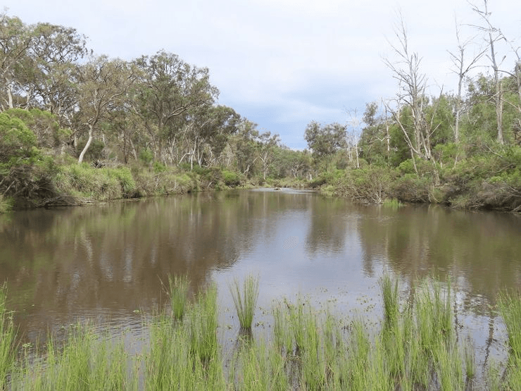 1001 Bents Road, BALLANDEAN, QLD 4382