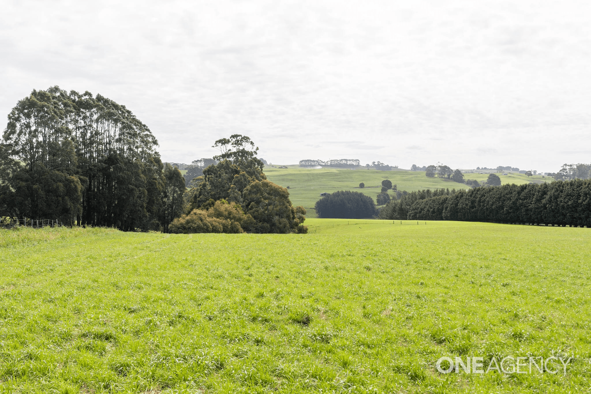 952 Murchison Highway, Elliott, TAS 7325