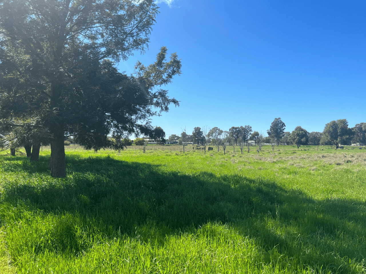 126 Webb Siding Road, NARROMINE, NSW 2821