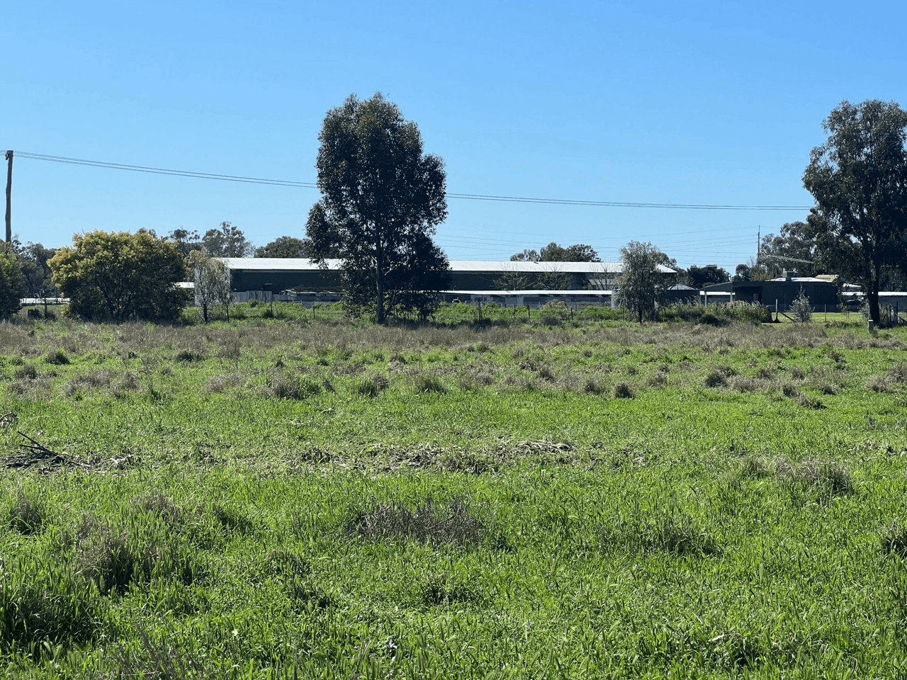 126 Webb Siding Road, NARROMINE, NSW 2821